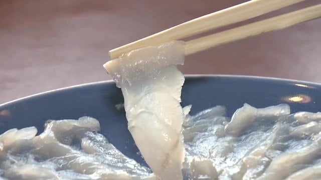 黒潮大蛇行がもたらした新名物「トラフグ」 終息で今後はどうなる? カレイにはすでに影響も 福島の海のいま