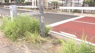 信号無視でパトカーに追われ…乗用車が追突事故　軽ワゴン車運転の40代男性死亡　追突されたはずみで電柱に衝突　横浜市