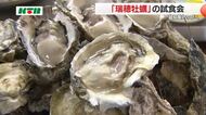 まろやかで濃い味「瑞穂牡蛎」飲食店や旅館関係者集まり試食会  2月にはカキ祭りも 認知度アップ目指す