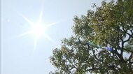 【速報】酷暑日が今年最多　すでに5地点で40度を超える　さらに増える可能性も