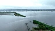 千葉・印旛沼決壊から1カ月　「一歩ずつ」ウナギ5万匹流された養殖場は来年3月の復旧目指す　イチゴ農園は苗育ち年明け再開へ
