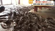 「避難生活が長くなりそう」土砂崩れで家を失った氷見市の男性、次の住まいは抽選待ち　避難生活2週間