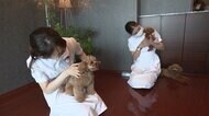 コロナ禍でペットを飼う人増加 ペットシッターの“今”
