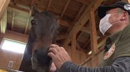引退した競走馬は9割殺処分の現実…元競走馬を積極的に受け入れる牧場には“名馬の子供”もいた