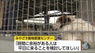 みやざき動物愛護センター 3カ月ぶりの譲渡会 宮崎県