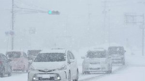視界が一面真っ白になる「ホワイトアウト」…遭遇したらどうする?運転時の対処法を専門家に聞いた