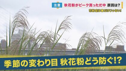 ピーク真っただ中の“秋の花粉症”第一の対策は「草むらに近づくな」春の症状との違いや予防法について専門家に聞いた