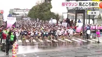 「ふくい桜マラソン」見どころ満載の42.195キロ　ひと足早く走ってみた　新幹線と並走、ご当地グルメのエイドステーションも　29日午前8時30分号砲