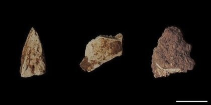 旧石器時代末期の狩猟対象を放射光X線CTで解明─特別史跡「福井洞窟」出土、約１万６千年前の焼骨片を非破壊で動物種推定─