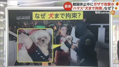 ハマス「ペットの犬」まで拘束　解放された少女の腕に抱かれ…人質の“精神状態を配慮”とアピールか