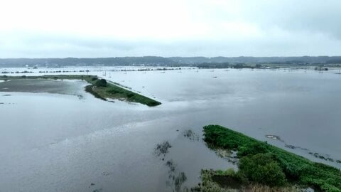 千葉・印旛沼決壊から1カ月　「一歩ずつ」ウナギ5万匹流された養殖場は来年3月の復旧目指す　イチゴ農園は苗育ち年明け再開へ