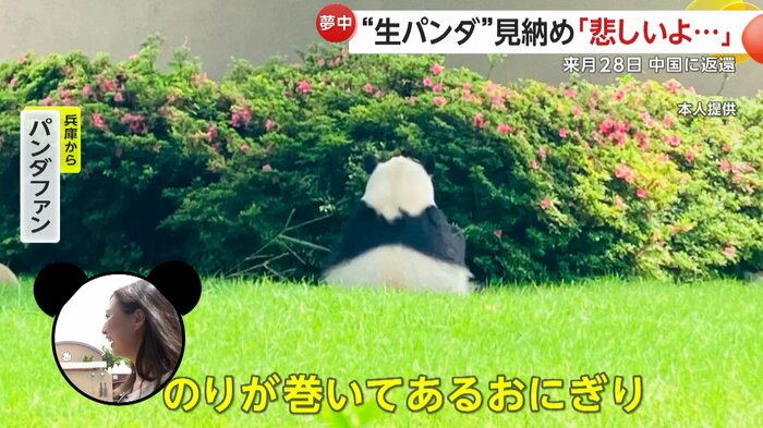 後ろ姿の写真を撮っていた兵庫からのパンダファン