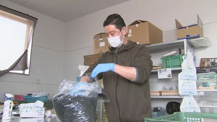 ワカメの袋詰め作業をする越田店主（安渡地区）