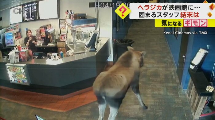 頭を下げるヘラジカ