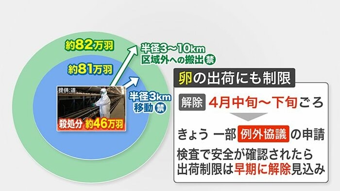 殺処分により卵の出荷にも制限