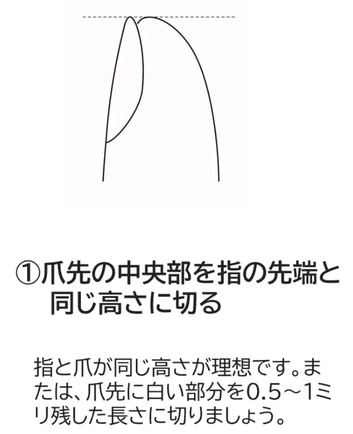爪切りの手順(画像提供:貝印)