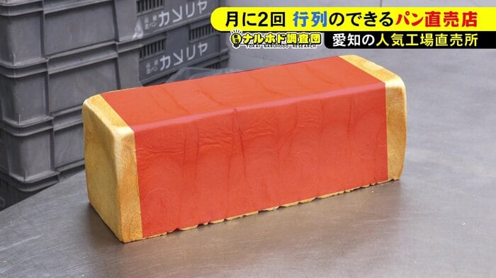 ニュースONE
