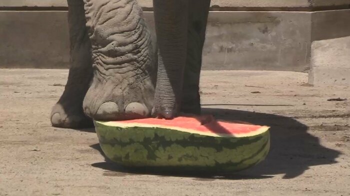 どうやって食べる?