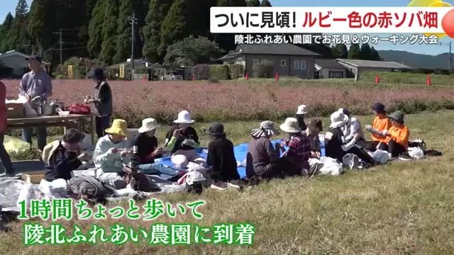 みんなでお花見ランチ