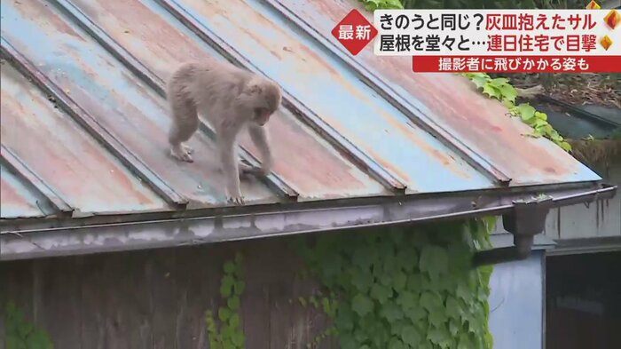残念そうに下を見つめている…