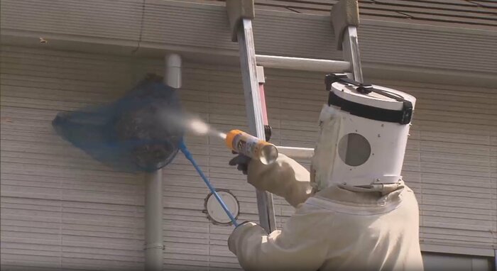 巣に網をかけ殺虫剤を噴射