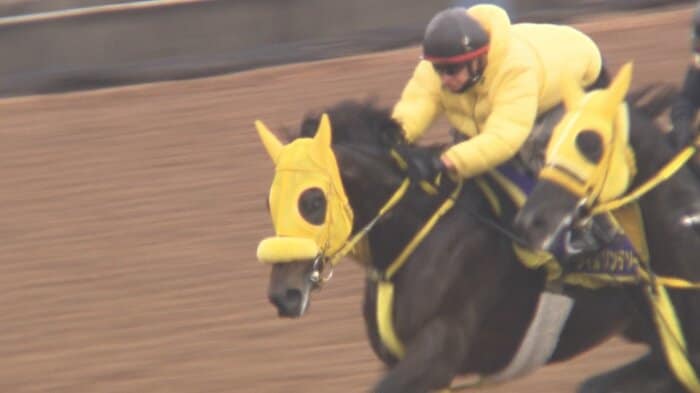 最終追い切りを行うウィルソンテソーロ