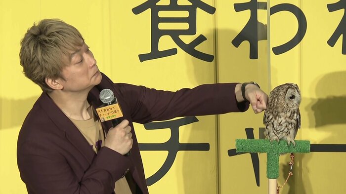 目が合わない隙になでなで…
