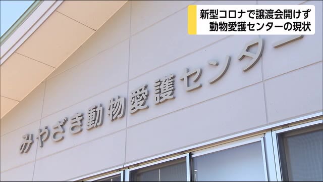 みやざき動物愛護センター コロナ禍で譲渡会開けず 宮崎市