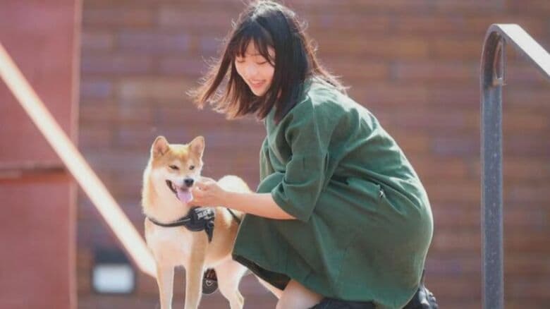 なぜか飼い主の娘だけに“忠犬”…お風呂の出待ちにいそしむ柴犬けいちゃん 娘が実家を離れて起こった変化｜FNNプライムオンライン