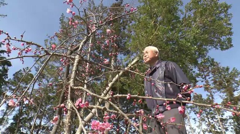「自分だけよければいいのか」進まぬ除染廃棄物の県外最終処分　受け継いできた土地は中間貯蔵施設に　かつての故郷を取り戻すため花木を植える男性【福島発】｜FNNプライムオンライン