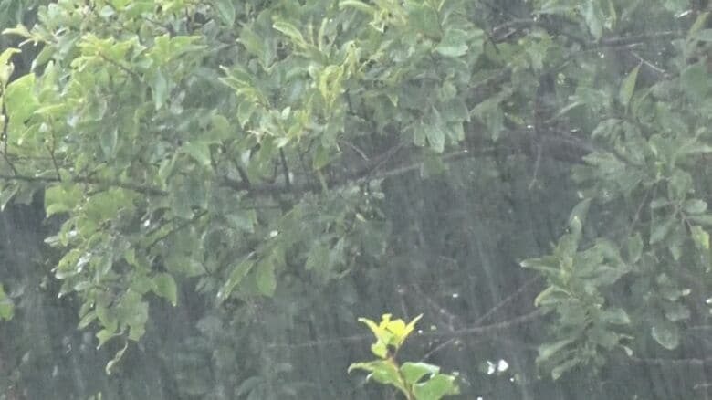 新潟県に線状降水帯予測情報　あす朝まで土砂災害などの大雨災害に厳重な警戒を【新潟県】｜FNNプライムオンライン