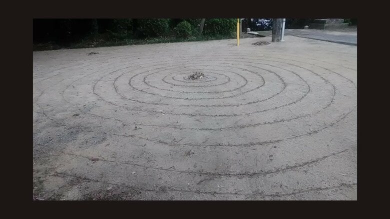 神社にミステリーサークル？ 突如現れた“不気味な渦巻”が境内にいくつも出現 誰が何のために？気味悪がる参拝客も｜FNNプライムオンライン