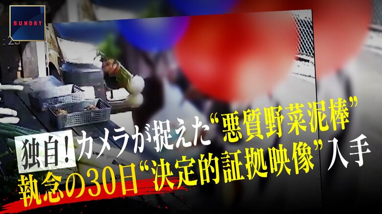 繰り返される悪質野菜泥棒に「おっちゃんは戦う」…評判の直売所営む男性が防犯カメラ5台設置“執念の30日” 岐阜|FNNプライムオンライン