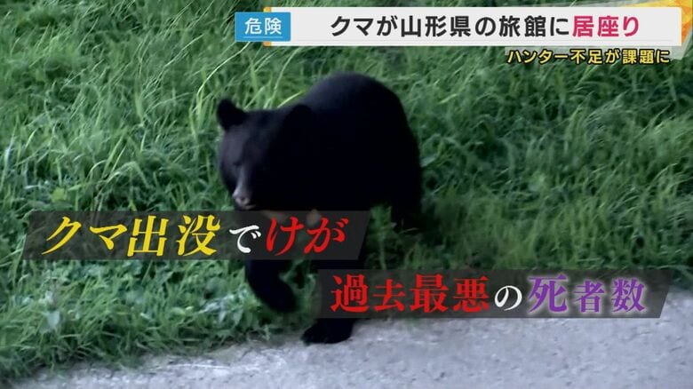 投稿・拡散で「罪に問われる可能性も」元検事が指摘『子グマを抱っこ』『クマにエサ』生成AI作成の“フェイククマ動画”がSNSで拡散｜FNNプライムオンライン