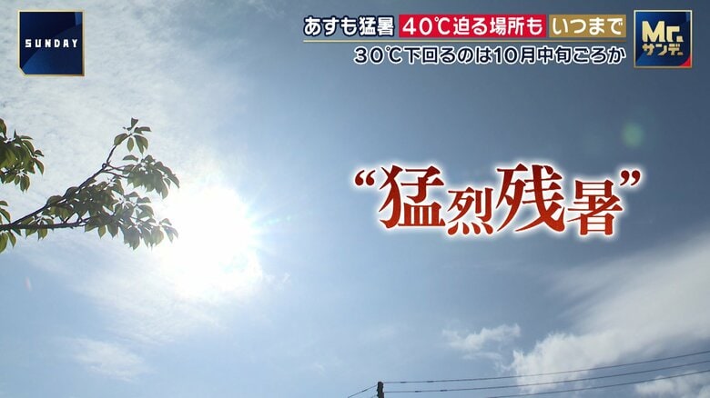 【異例の盆休み】豪雨・猛暑・水不足に翻弄される人…熊本・エアコン故障相次ぐワケ、新潟・節水迫られる墓参りや美容室、岐阜・徹夜おどりにも熱中症対策｜FNNプライムオンライン