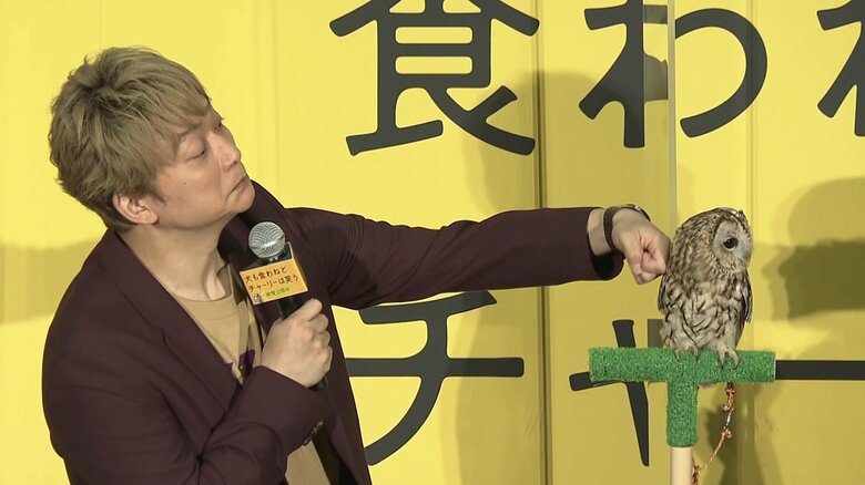 目が合わない隙になでなで…