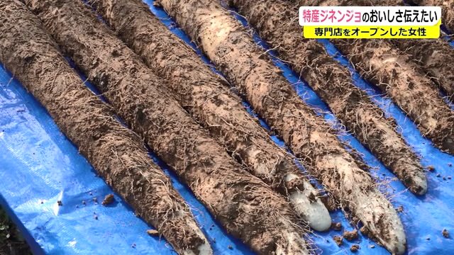 名田庄特産のジネンジョ