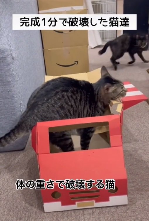 画面右上には急いで逃げる猫ちゃんが…