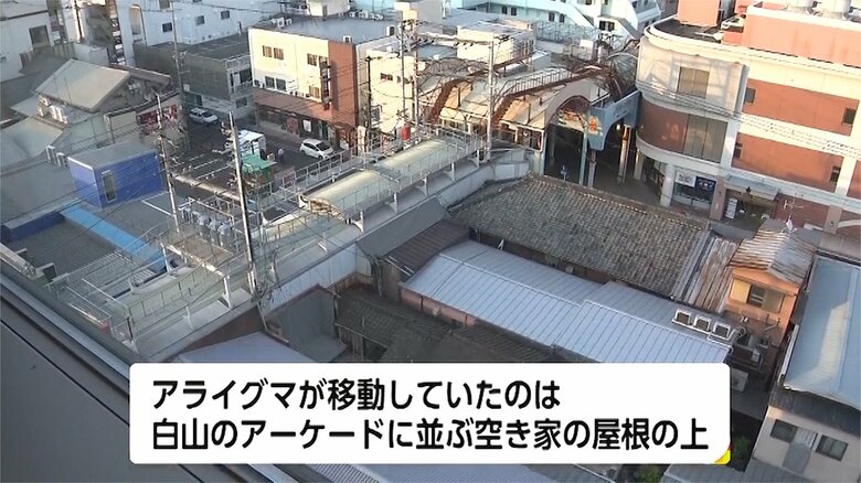 佐賀市白山の繁華街のアーケード。空き家の屋根の上でアライグマの集団が目撃された