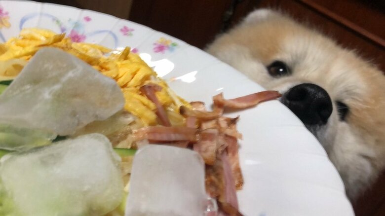 夕ご飯チェック