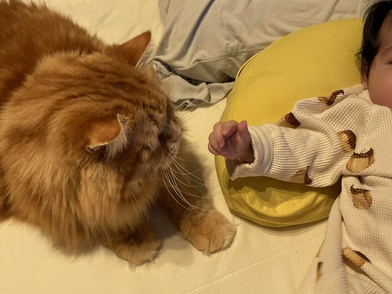 初めて対面した時は少し遠慮気味