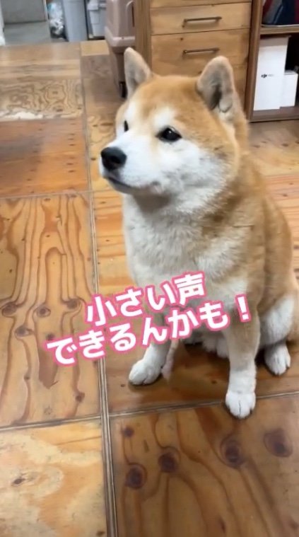 提供：エイトデザイン