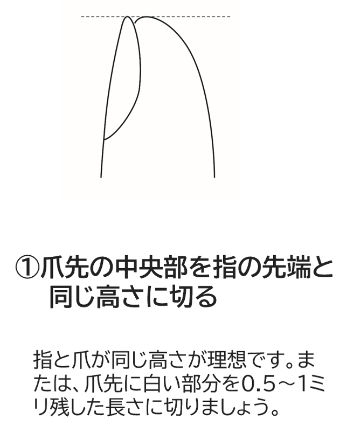 爪切りの手順（画像提供：貝印）