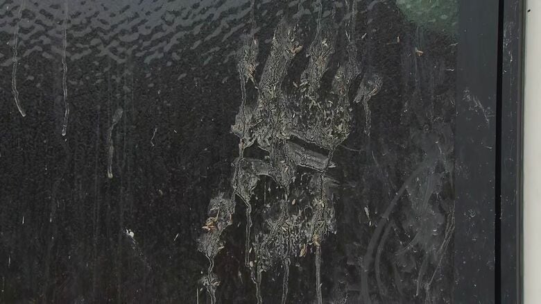 現場に残されたクマの足跡