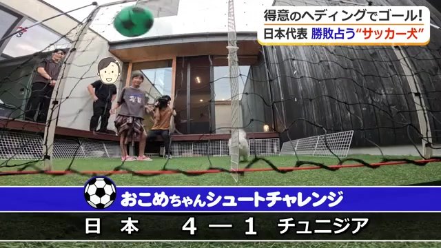 4－1の予想を打ちたてた