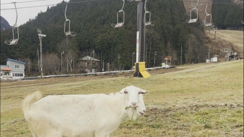 24日のゲレンデ（支配人撮影）