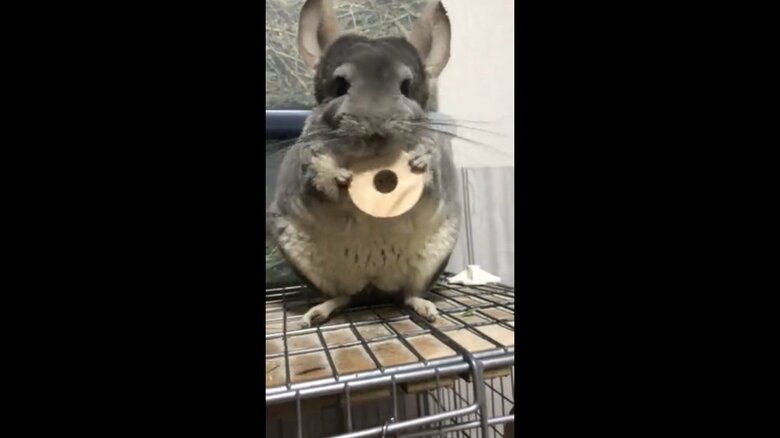 ワッシャーを受け取るムーくん