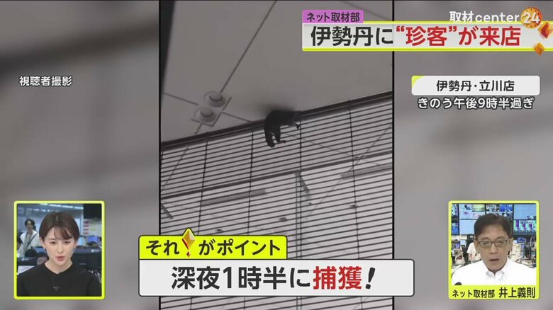 結局日付が変わった深夜に捕獲・保護された