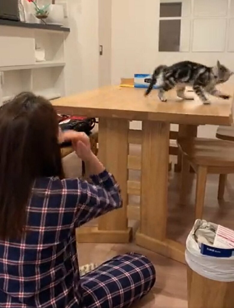 やった！とステップ