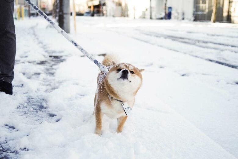 提供：エイトデザイン